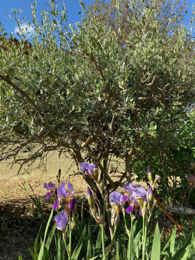 EntrecasteauxL'Eveil En Provence住宿加早餐旅馆 外观 照片
